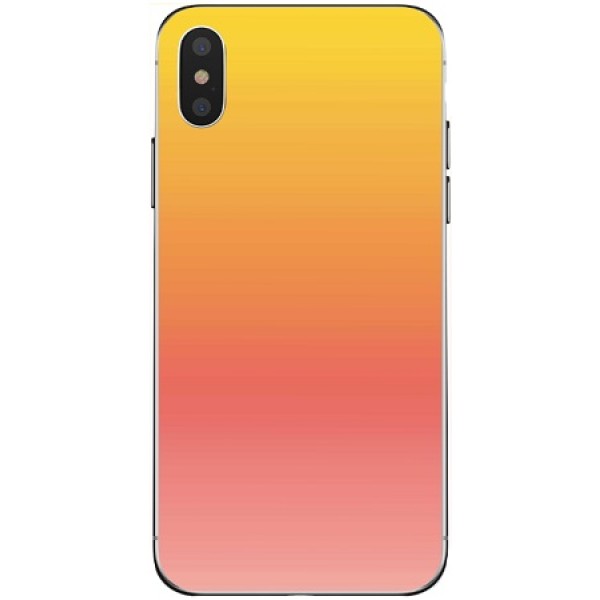 Чехол двухцветный iPhone X / XS